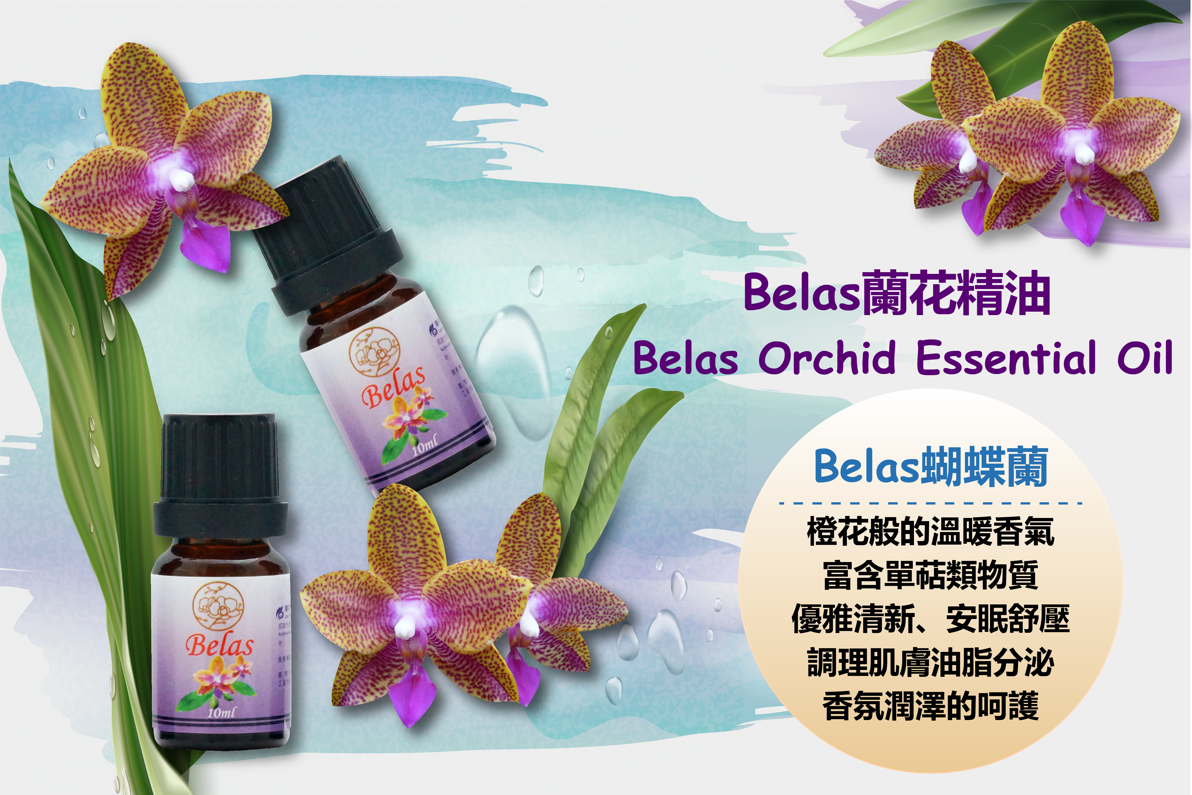 Belas精油銷售頁-01